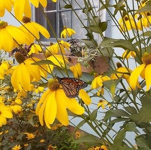 Meet your Posher, Trinity